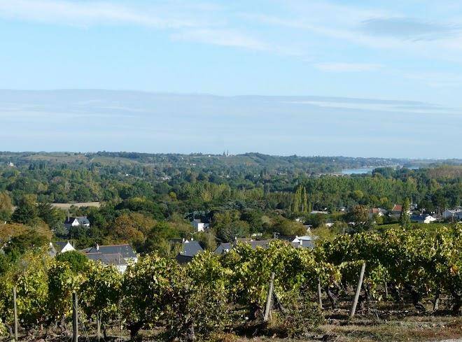 Clos du moulin sainte catherine