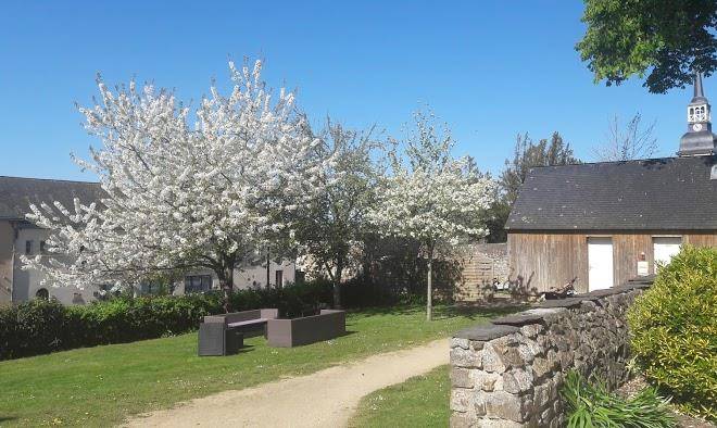 Le brillet pontin