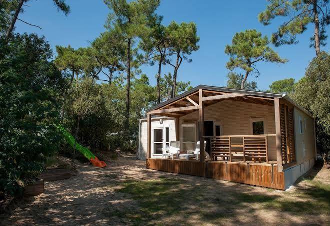 Le domaine des pins