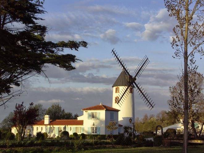 Le moulin des rivieres