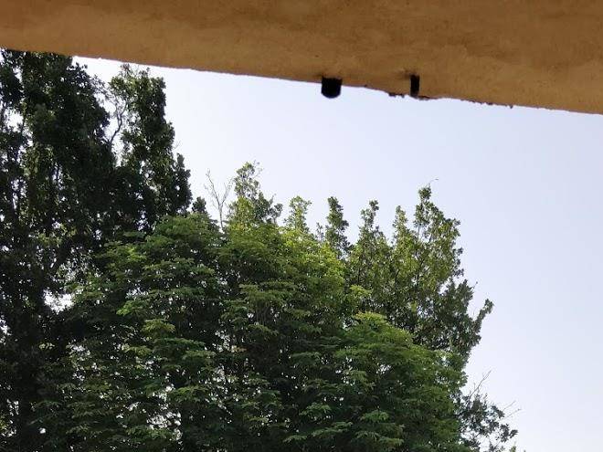 Bastide saint donat