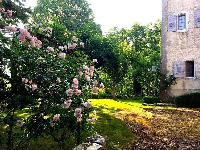 Chateau d'esparron