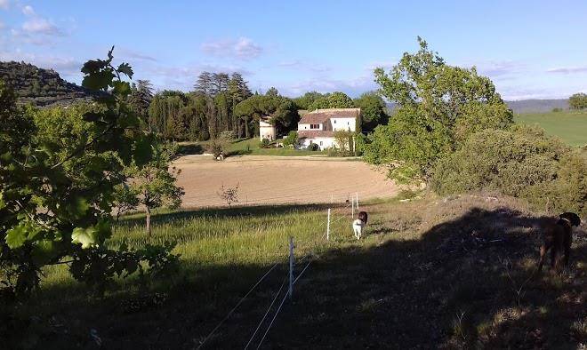 La grande bastide