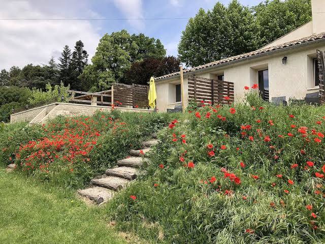 Les Anes De Forcalquier Image