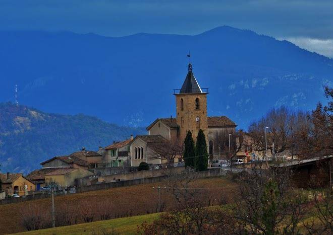 Sous l'olivier