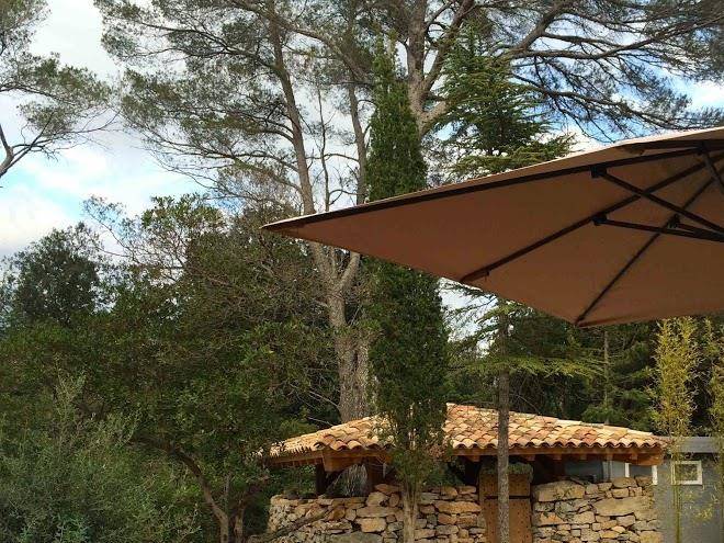 Bulles Des Bois Image