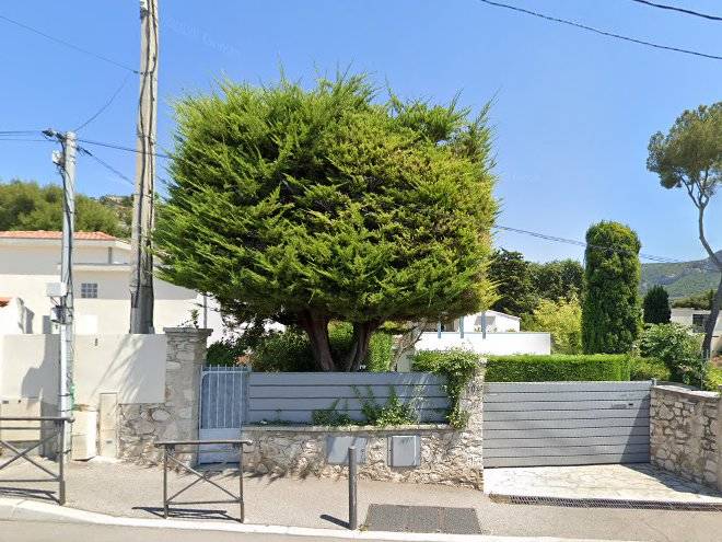 Chambre cassis