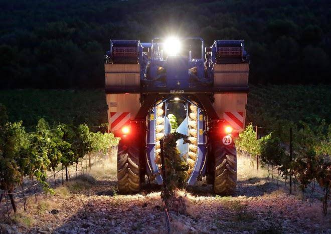 Domaine du mas bleu gignac la nerthe