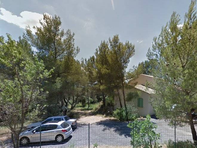 L'oliveraie en provence