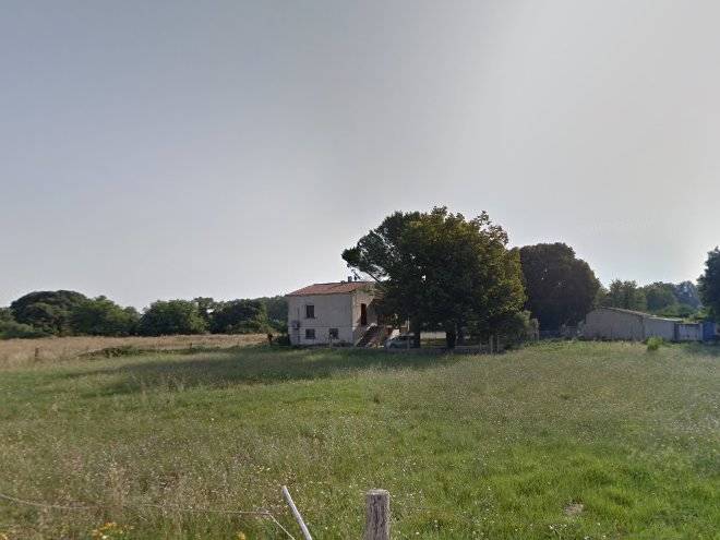 La salamandre