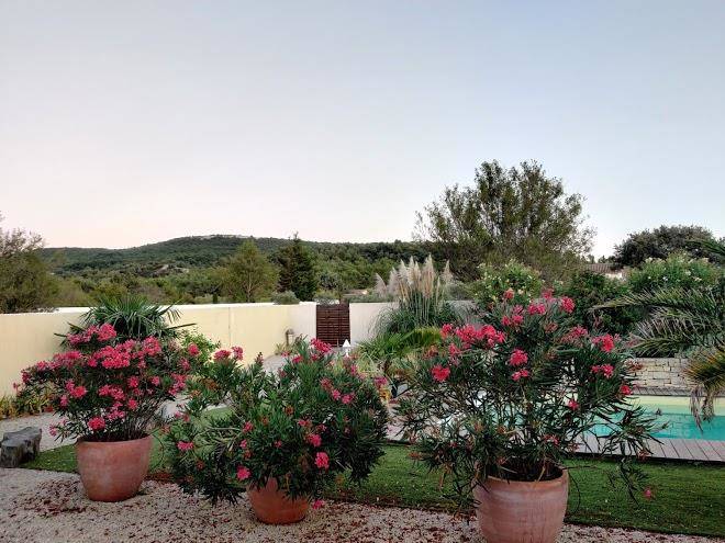 Lamanderie en provence