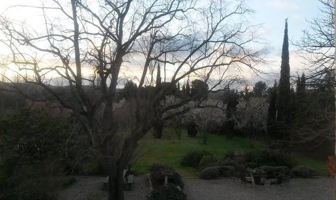 Le clos des freres gris