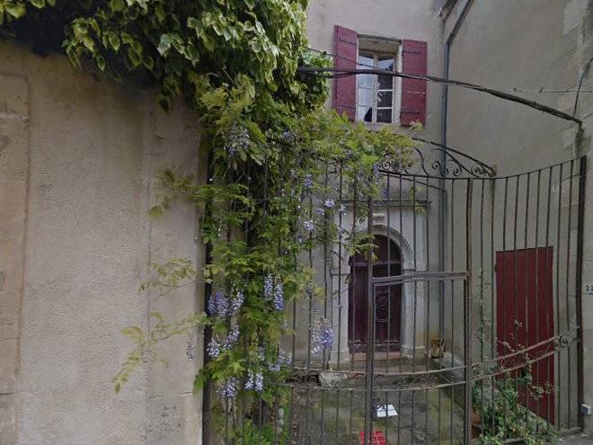 Le petit figuier