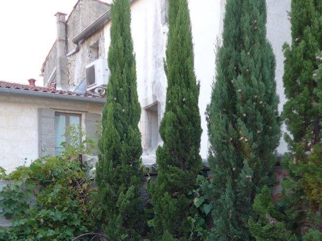 Les maisons d'hortense