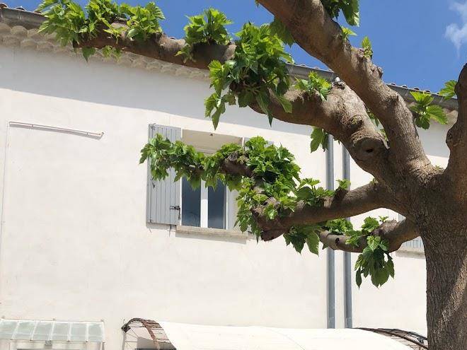 Les Mazets De Jules Image