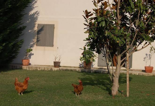 Mas De La Respelido Image