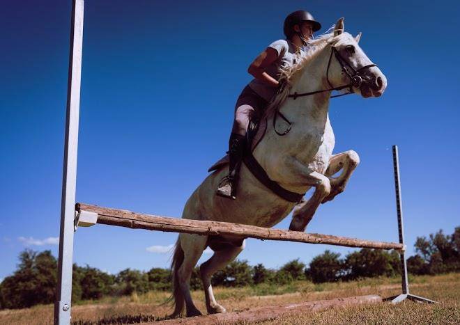 Mas saint germain en camargue