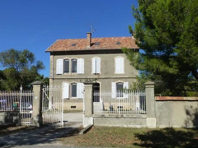 Un nid en camargue