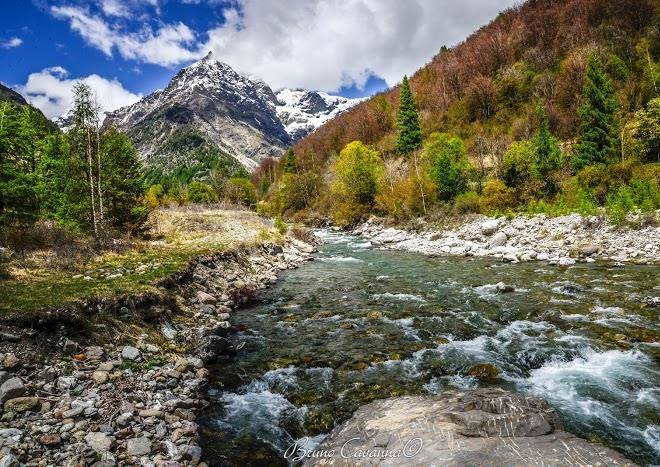 La Pierre De L'ours Image