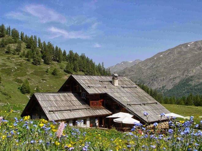 Refuge Buffere Image