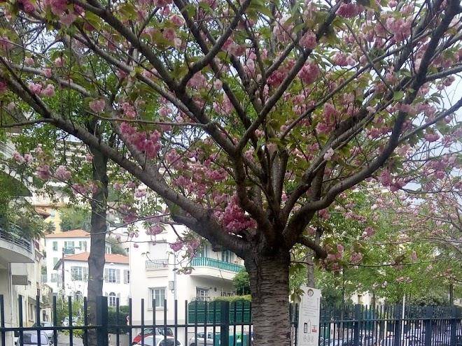 Ctim les terrasses