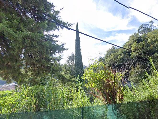 La colline