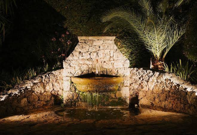 Le Chant Des Cigales Image