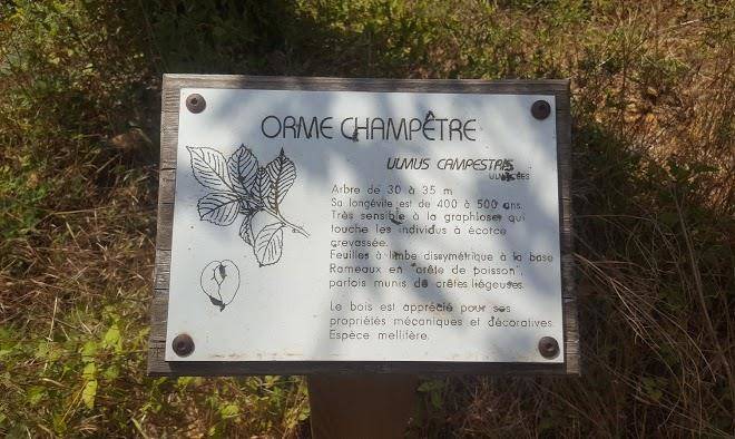 Le clos des canebiers chambres d'hotes de charme