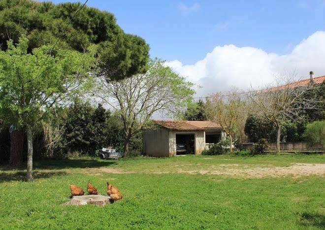 Au Chant Des Cigalous Image