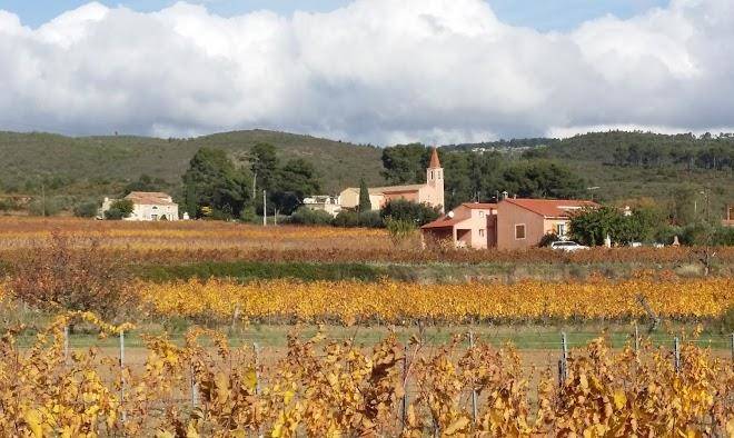 Gite au milieu des vignes