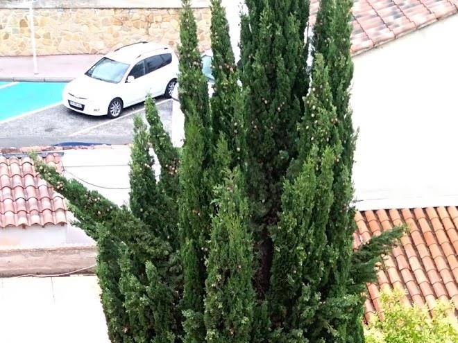 Hotel Aux Trois Muriers Image