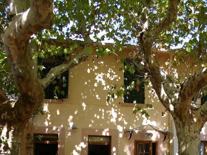 Hotel beausejour les palmiers