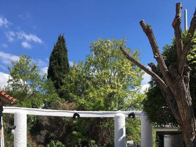 La Cigale Bleue Image