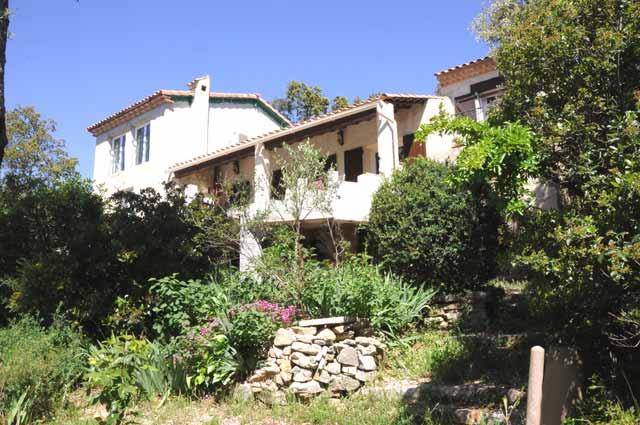 La cigale provence