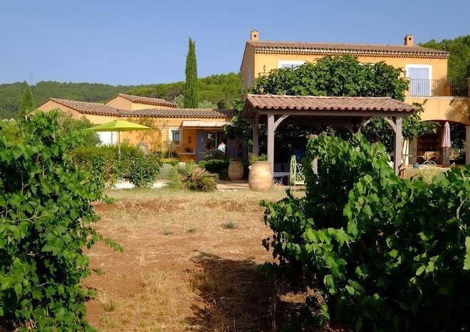 La syrah