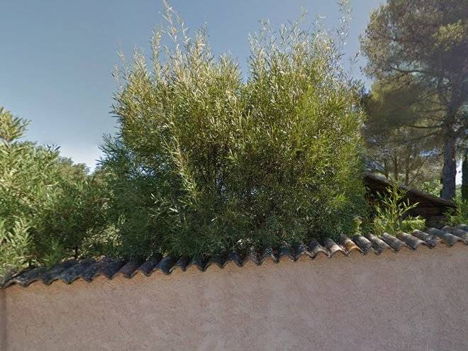Le mas de la tuiliere