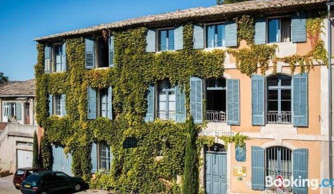 Au ralenti du lierre