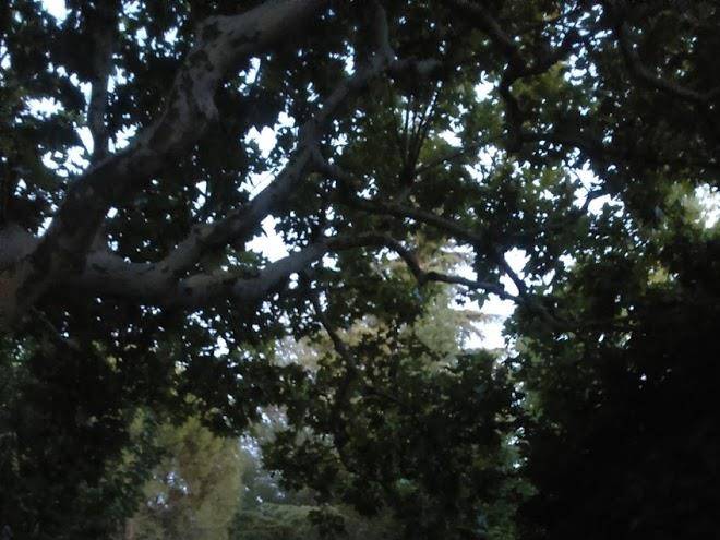 Bastide des cardelines