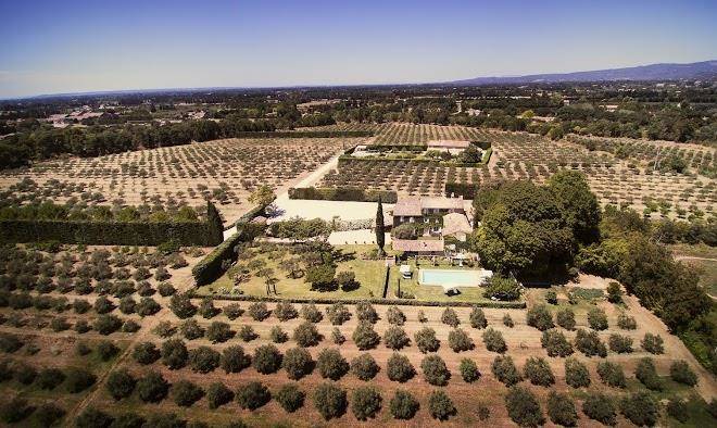 Domaine de canfier