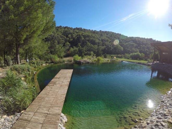 La cigale de munegu