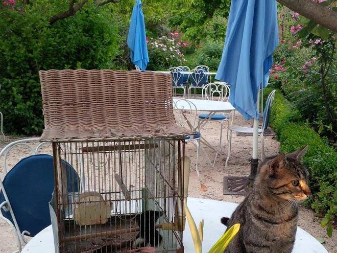 La nesquiere bed and breakfast pernes les fontaines