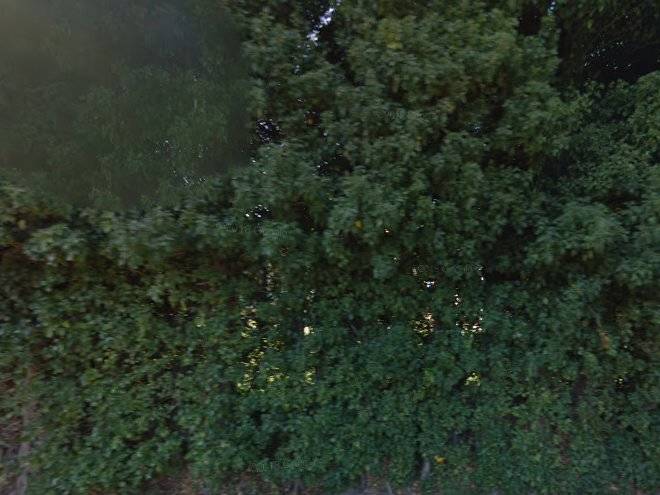 Le Mazet Des Beaujots Image