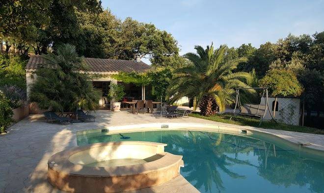 Les santolines en provence