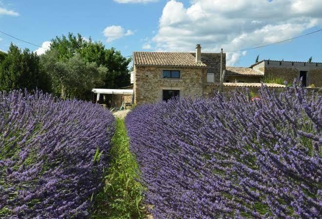 Mas de l'amme