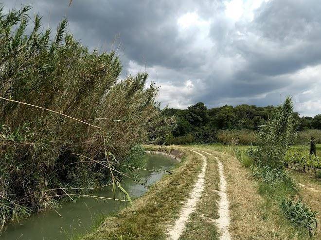 Mas De La Pierre Du Coq Image