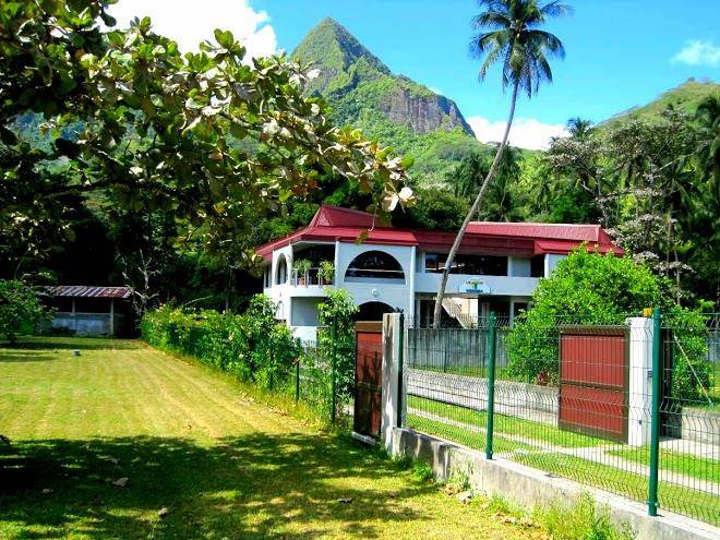 Sci vainau