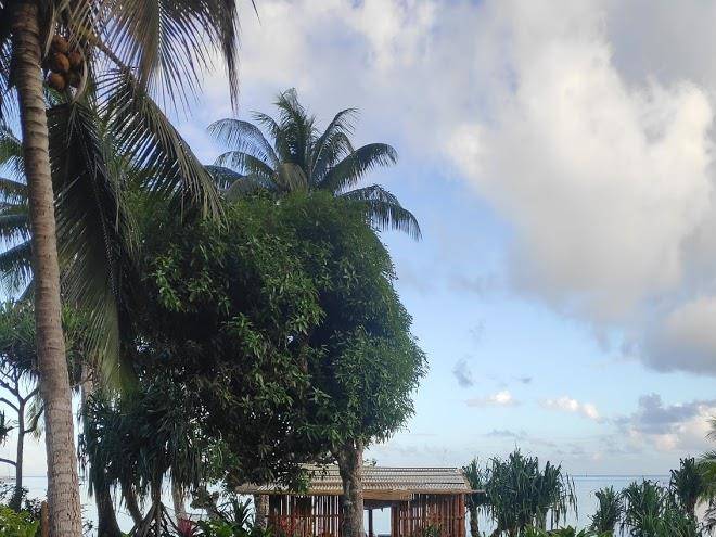 Te'fitii