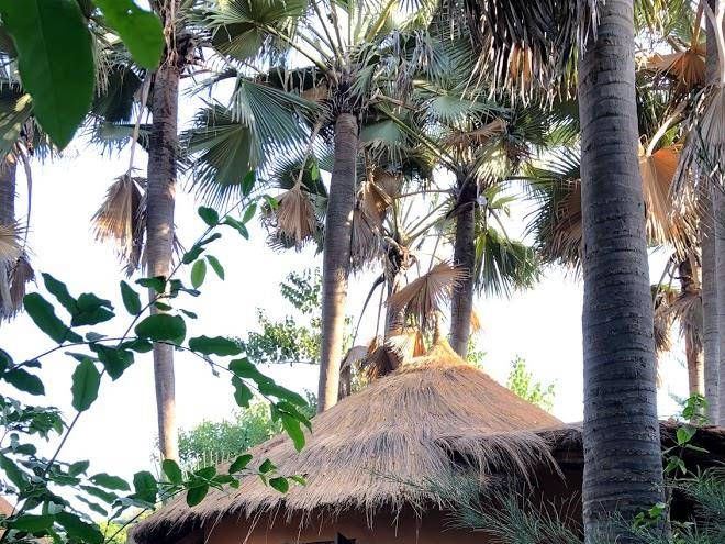 Nemasu eco lodge