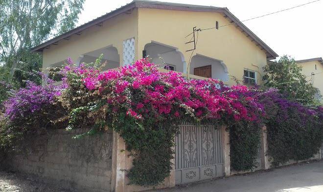 Sanchaba yellow apeartments