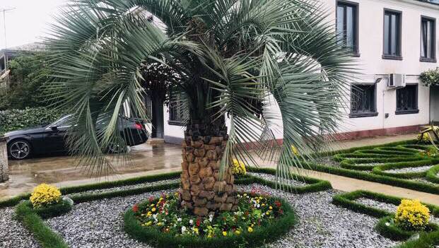 Green garden zugdidi